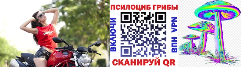 Псилоцибиновые грибы Psilocybe  маркетплейс состав  Ялуторовск 