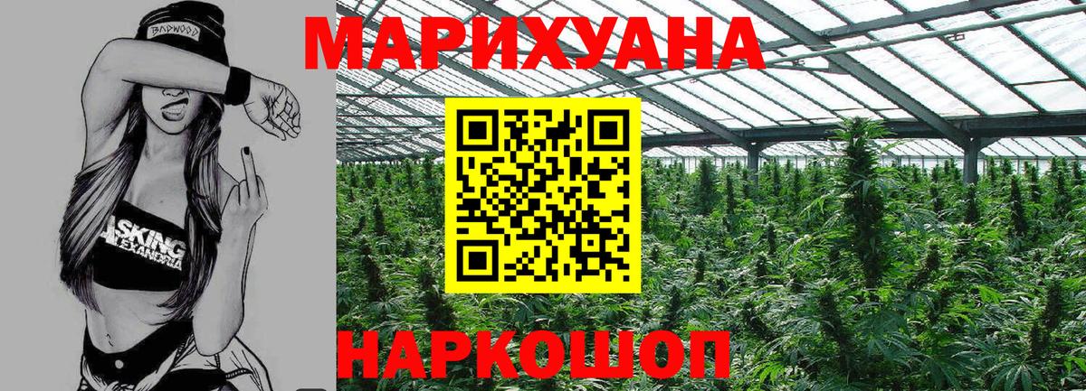 Конопля сатива Ялуторовск